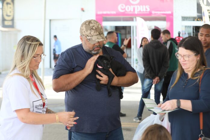 Foto: Clarildo Menezes