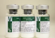 Vacina brasileira contra dengue mostra proteção por até 5 anos, aponta estudo