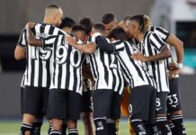 Botafogo empata com Palmeiras e Flamengo assume liderança do Brasileirão